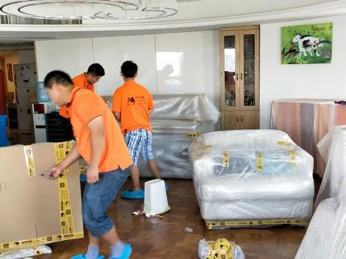 沙湖原种场精品搬家公司